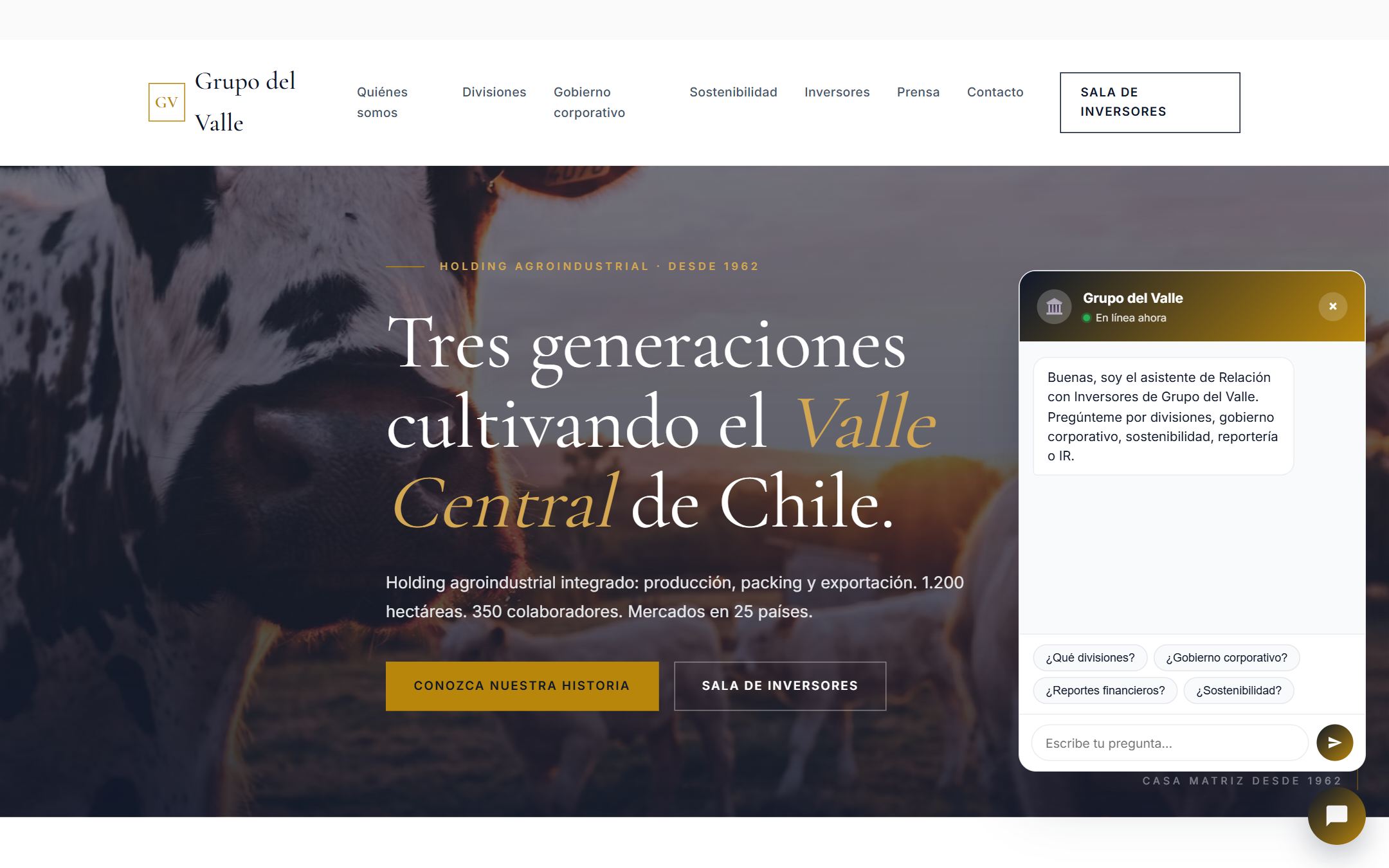 Sitio corporativo holding